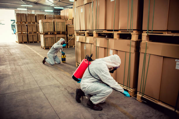 Best Local Pest Control Services  in Leonard, TX
