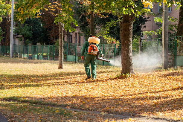  Leonard, TX Pest Control Pros